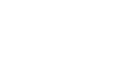 Estone Solutions Icon